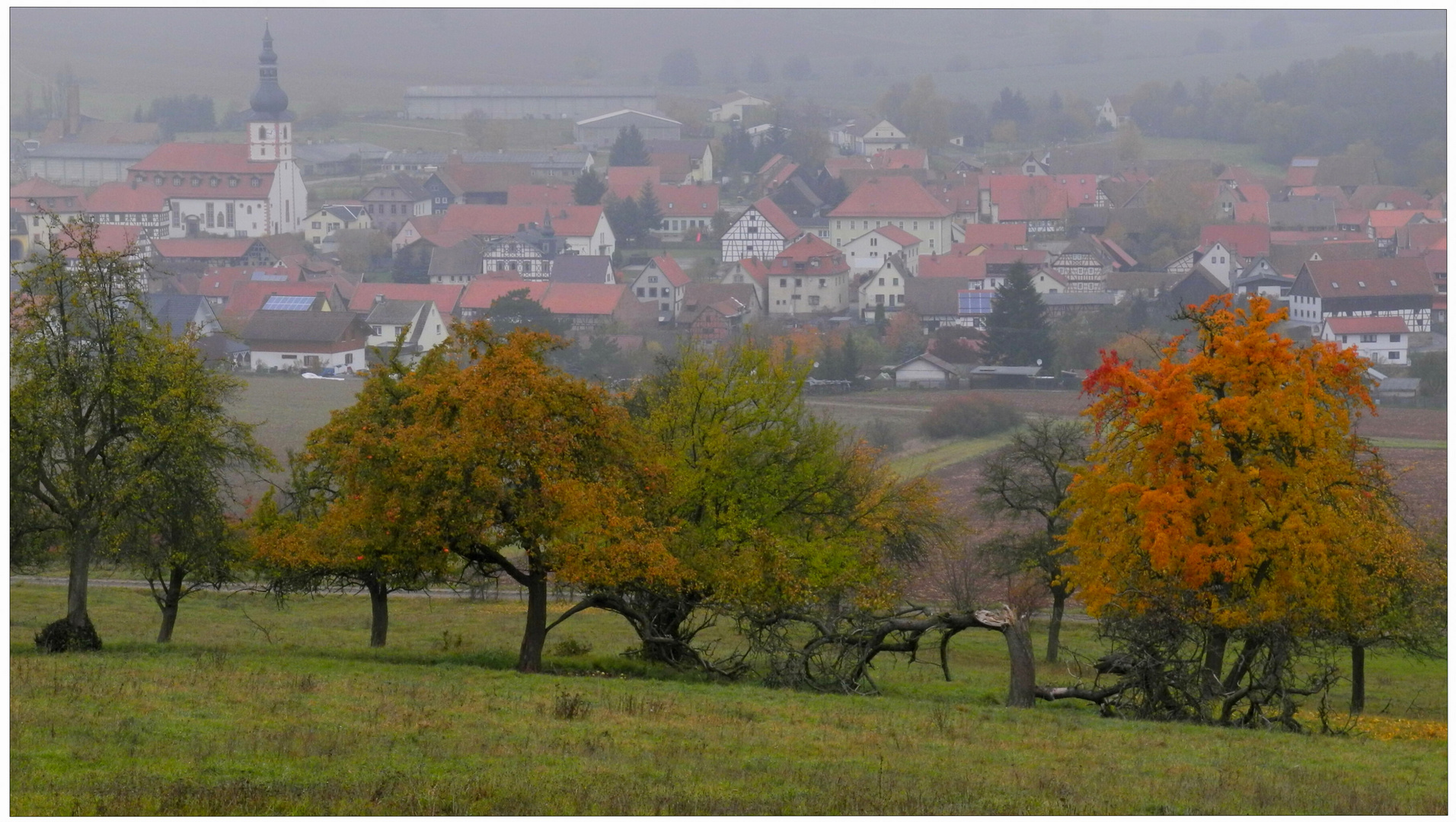 Árboles frutales en la montaña "Hutsberg", en el fondo podéis ver mi pueblo Helmershausen