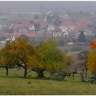 Árboles frutales en la montaña "Hutsberg", en el fondo podéis ver mi pueblo Helmershausen