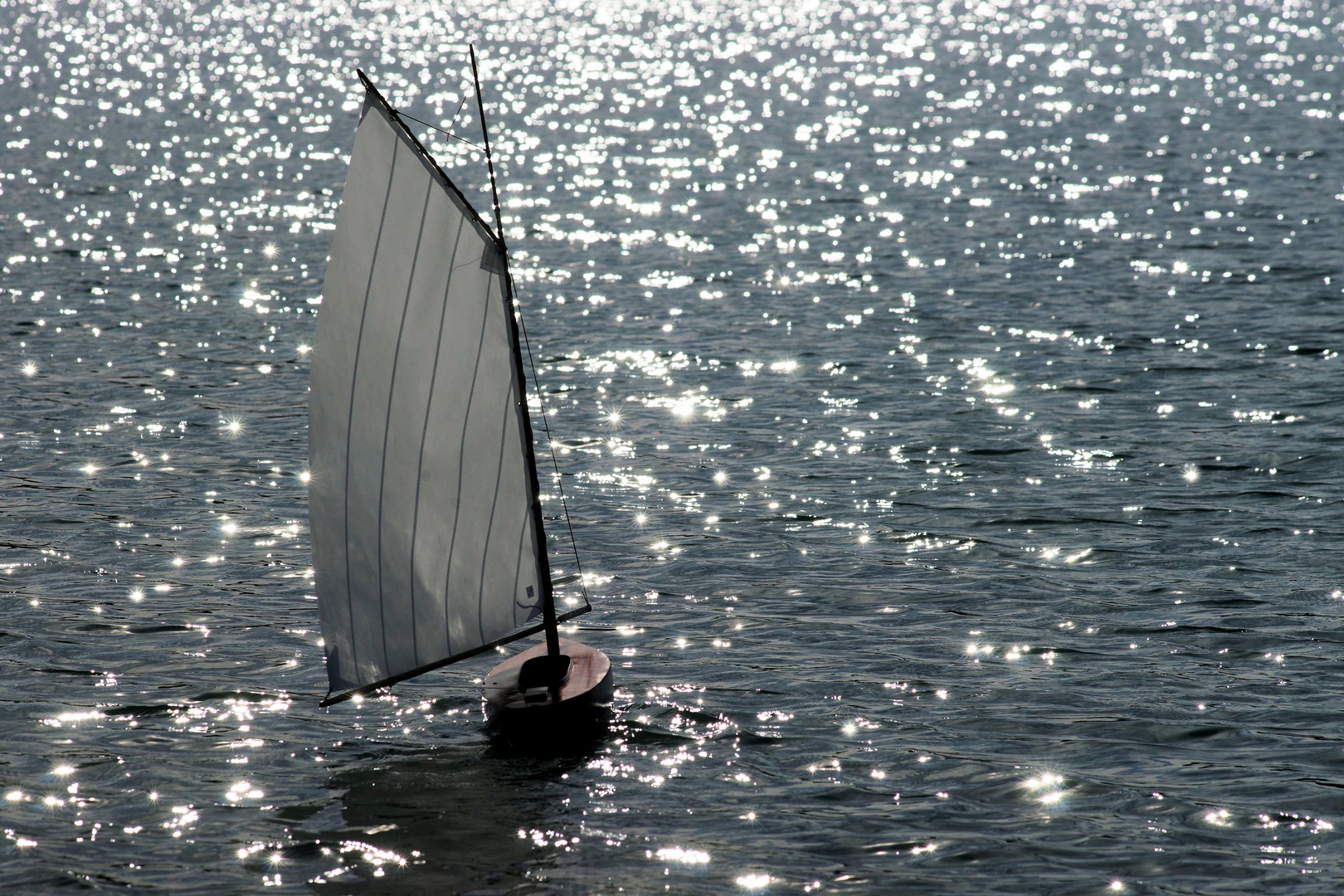 RC Model Boat 