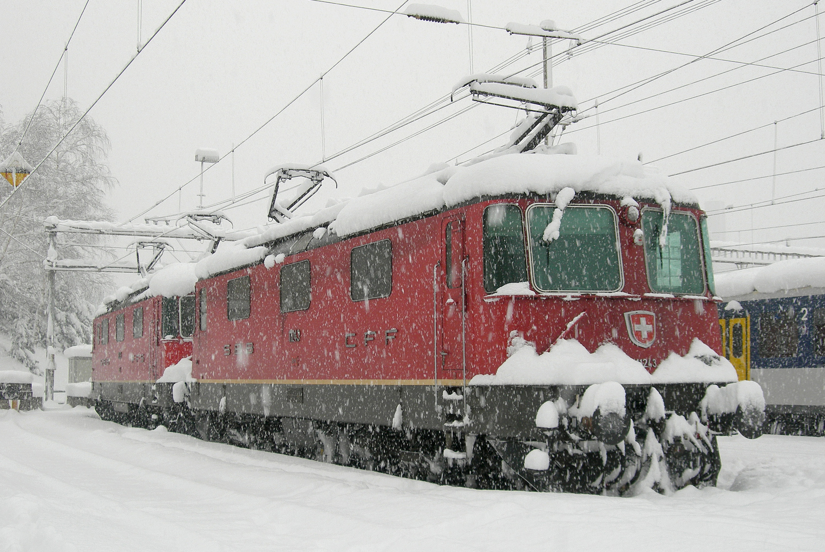 Re 4-4 II 11243 Bellinzona 26.01.2006