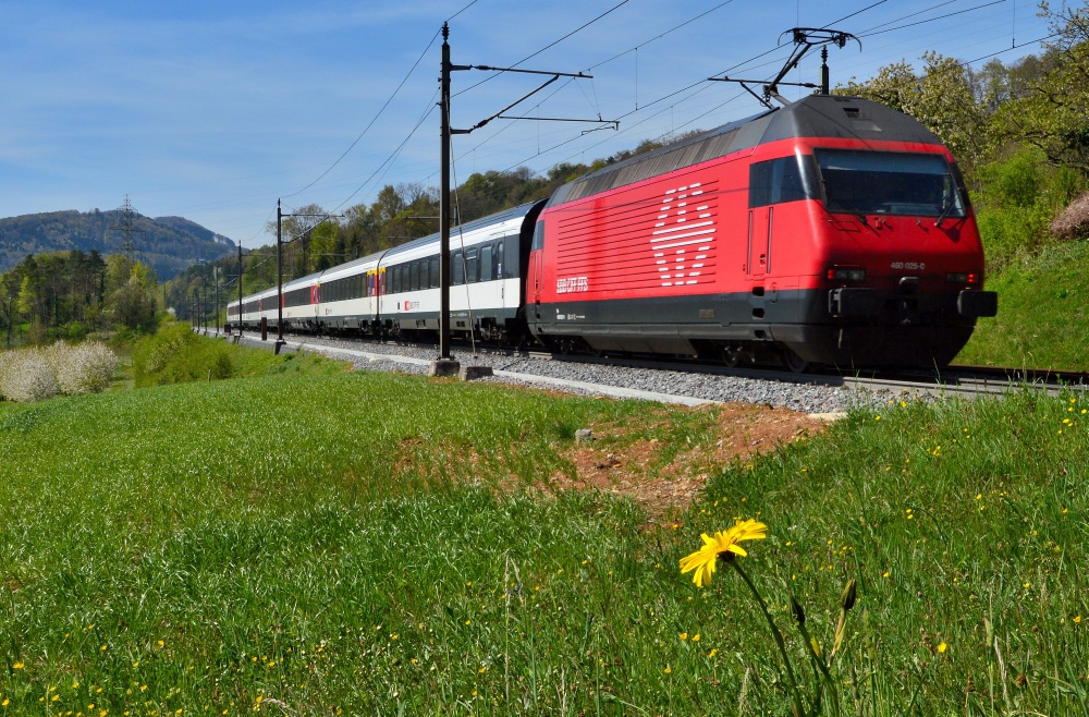 Re 460 im Frühling