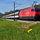 Re 460 im Frühling