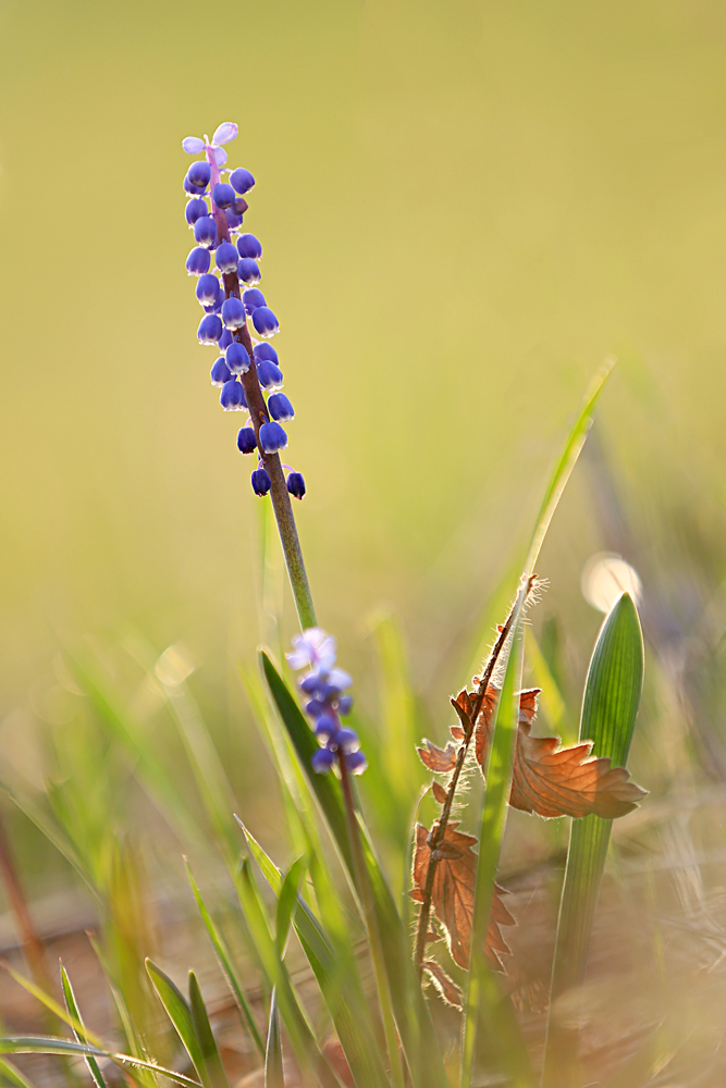 Re: Stilleben der Natur