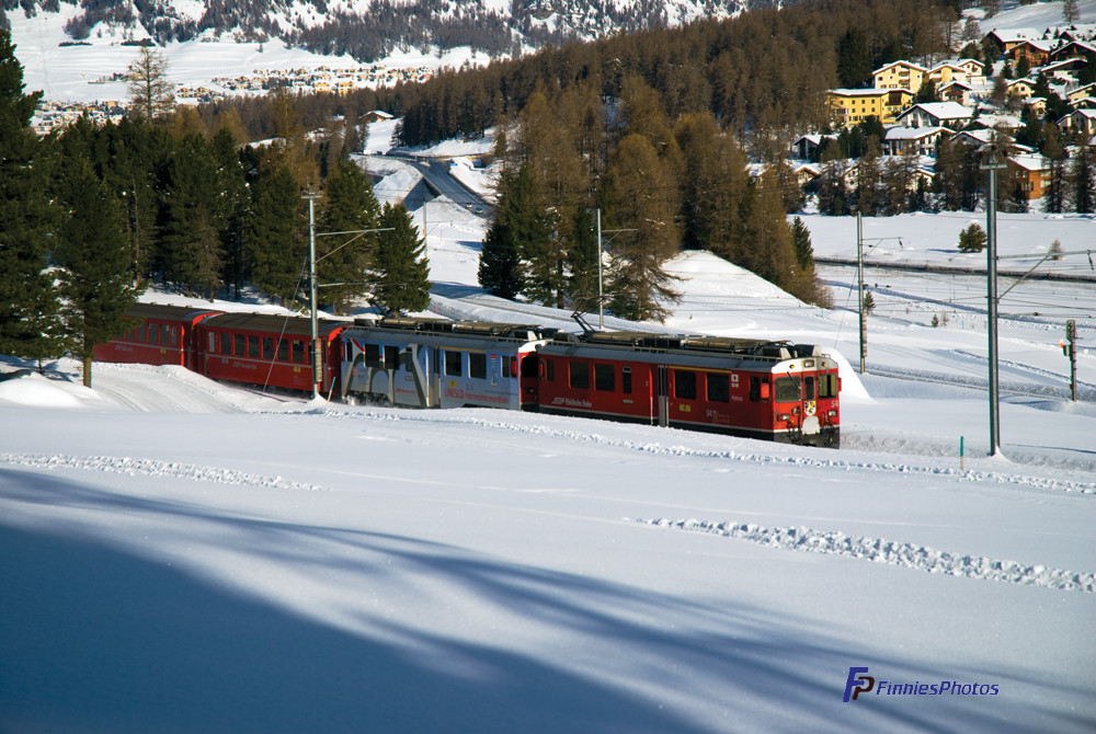 Re von der RhB bei Pontresina