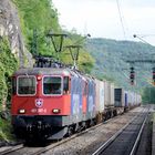 Re421 am Oberrhein