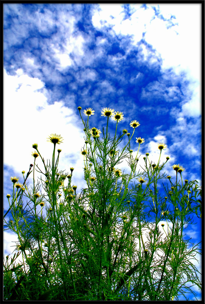 Reach for the sky