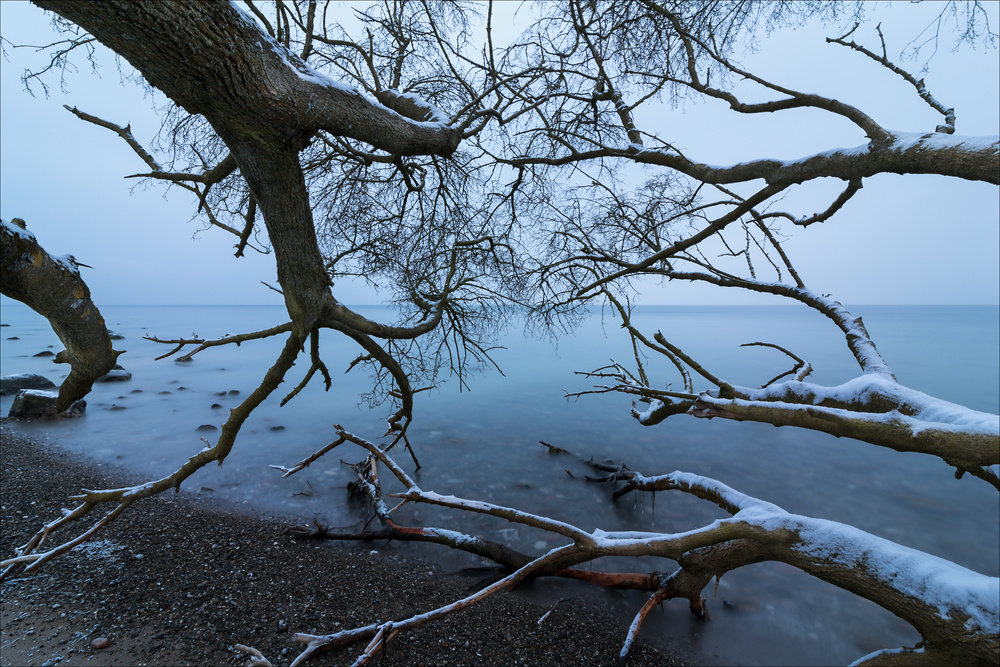 Reaching for the Sea