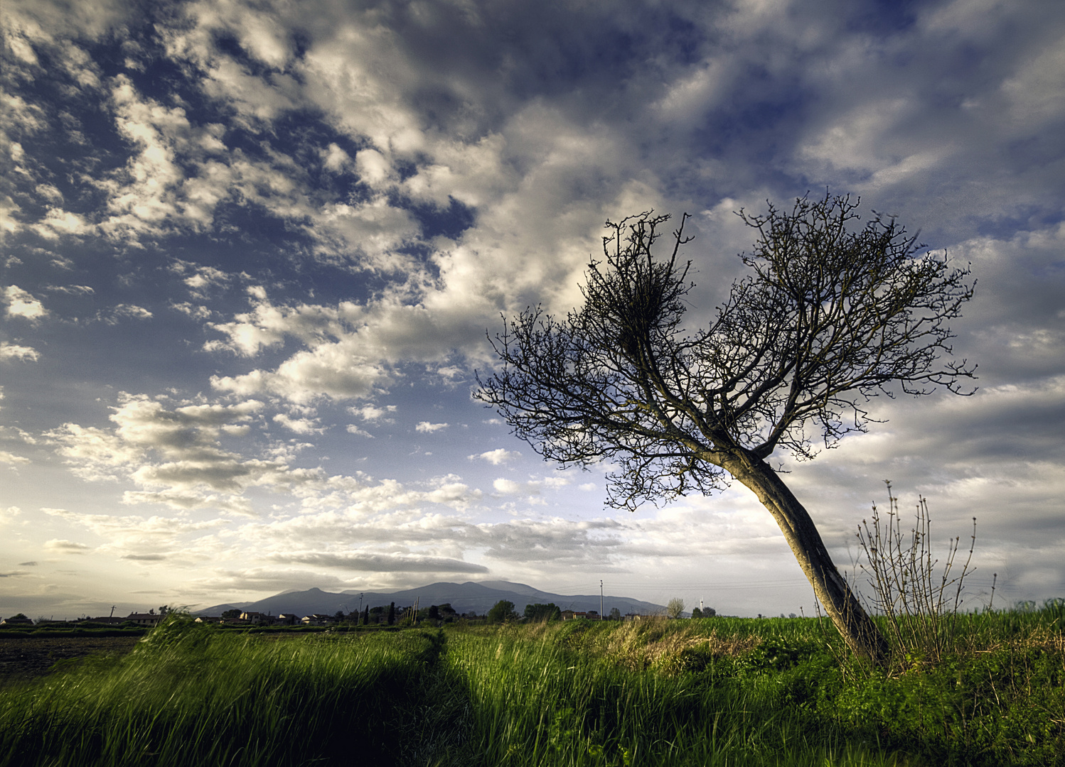 Reaching the sky