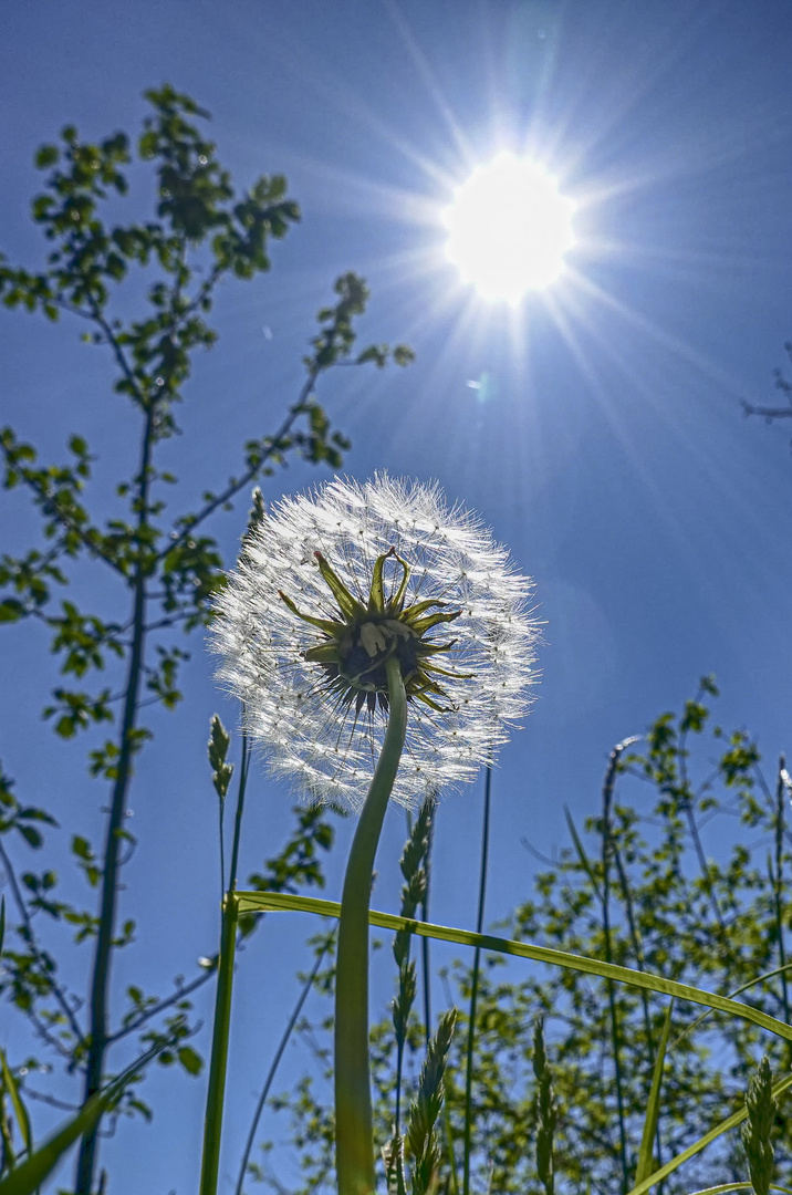 Reaching the sun