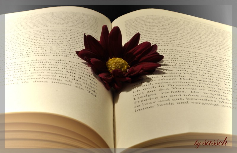 Read the Flower