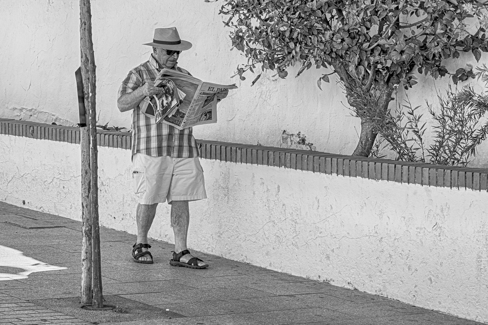 Reader in Spain