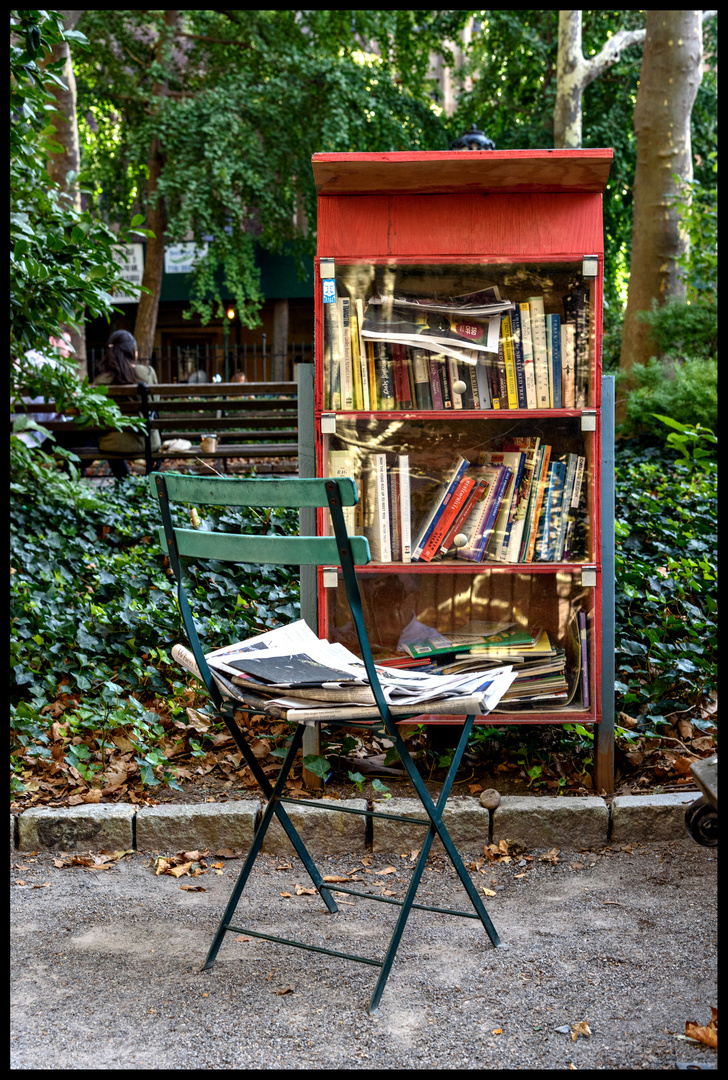 Reading in the Park