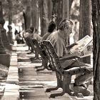 Reading newspaper in Madrid