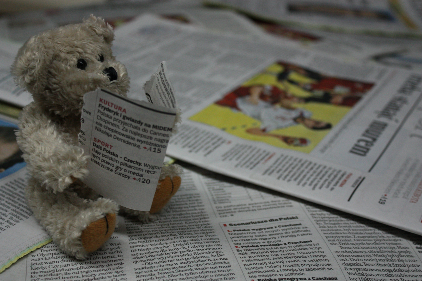 Reading the news... (support papermade news! buy newspapers)