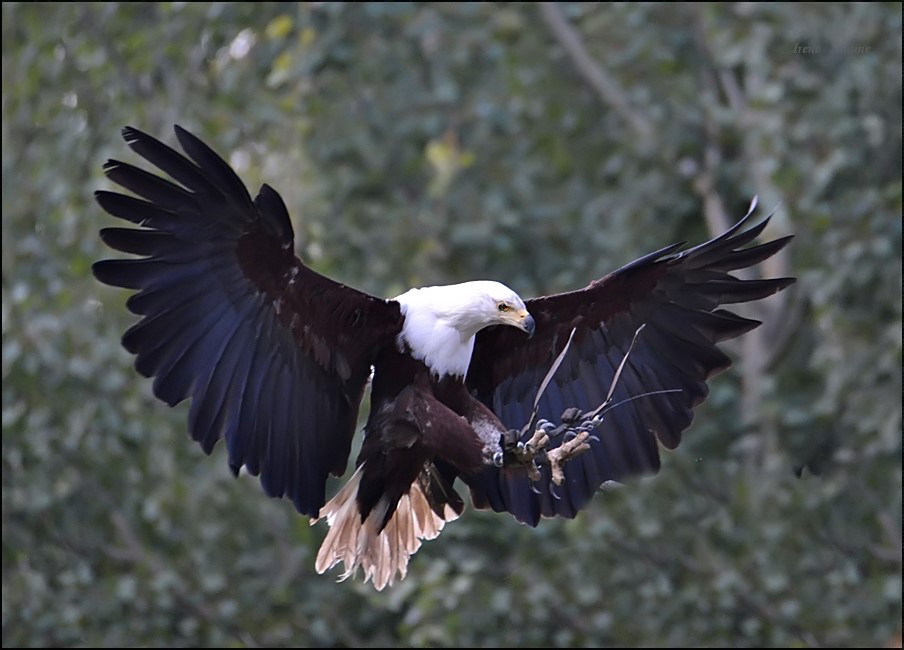 Ready for Landing !!!!