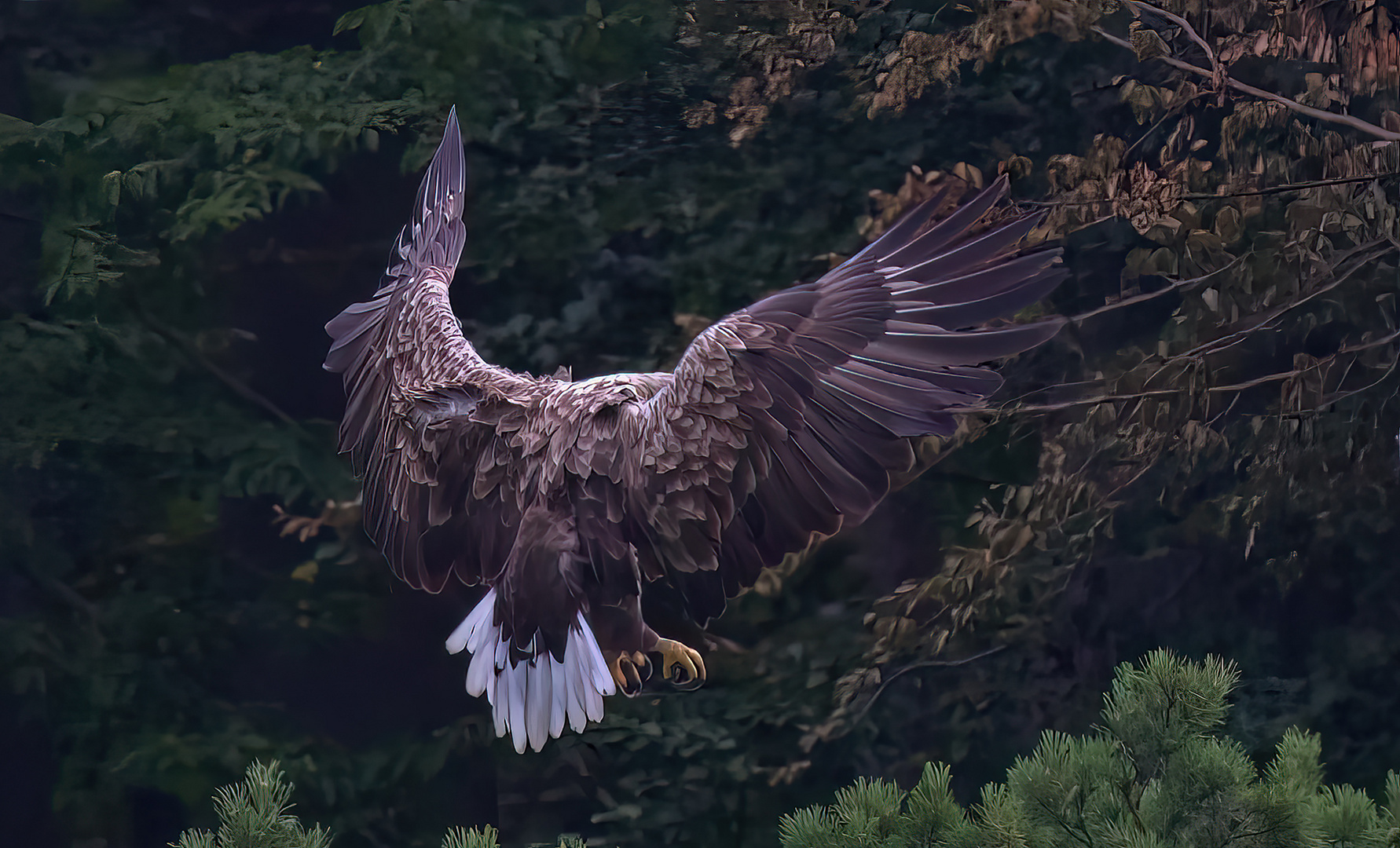 Ready for landing