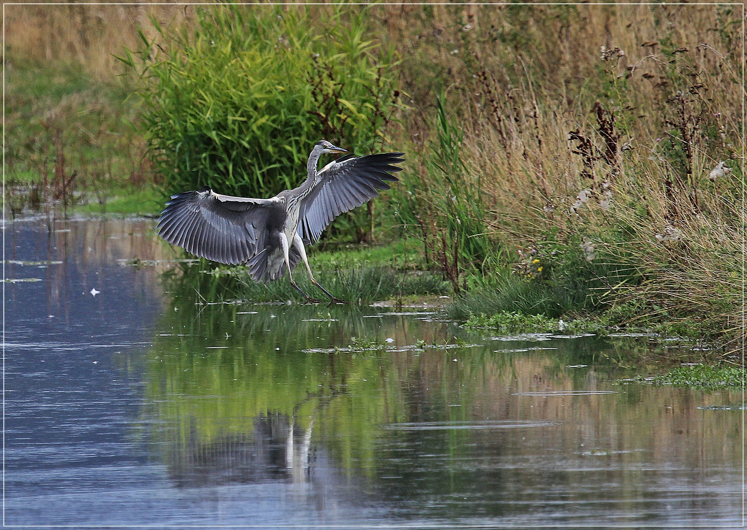 Ready for landing