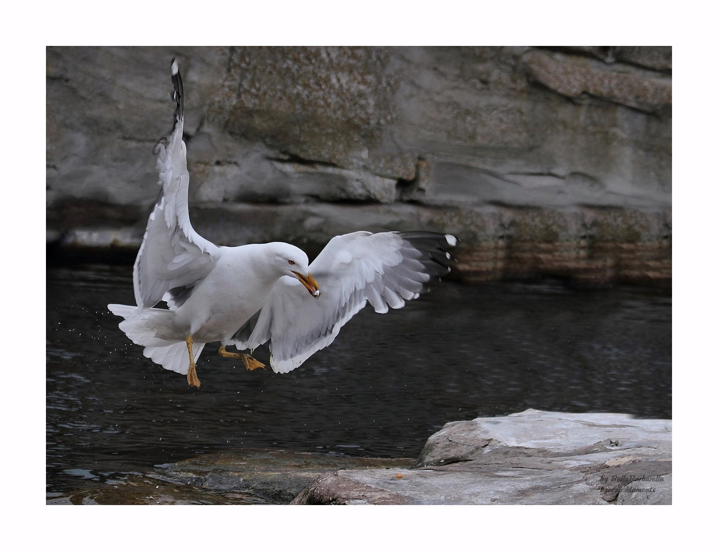 Ready for landing