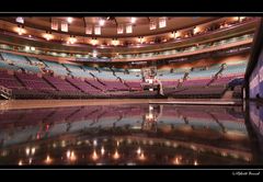 _____Ready For Showtime - Madisson Square Garden NYC_____