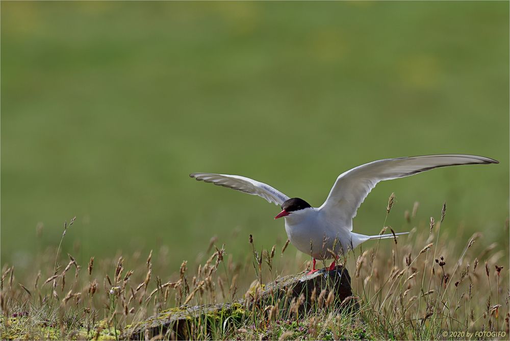 Ready for take-off