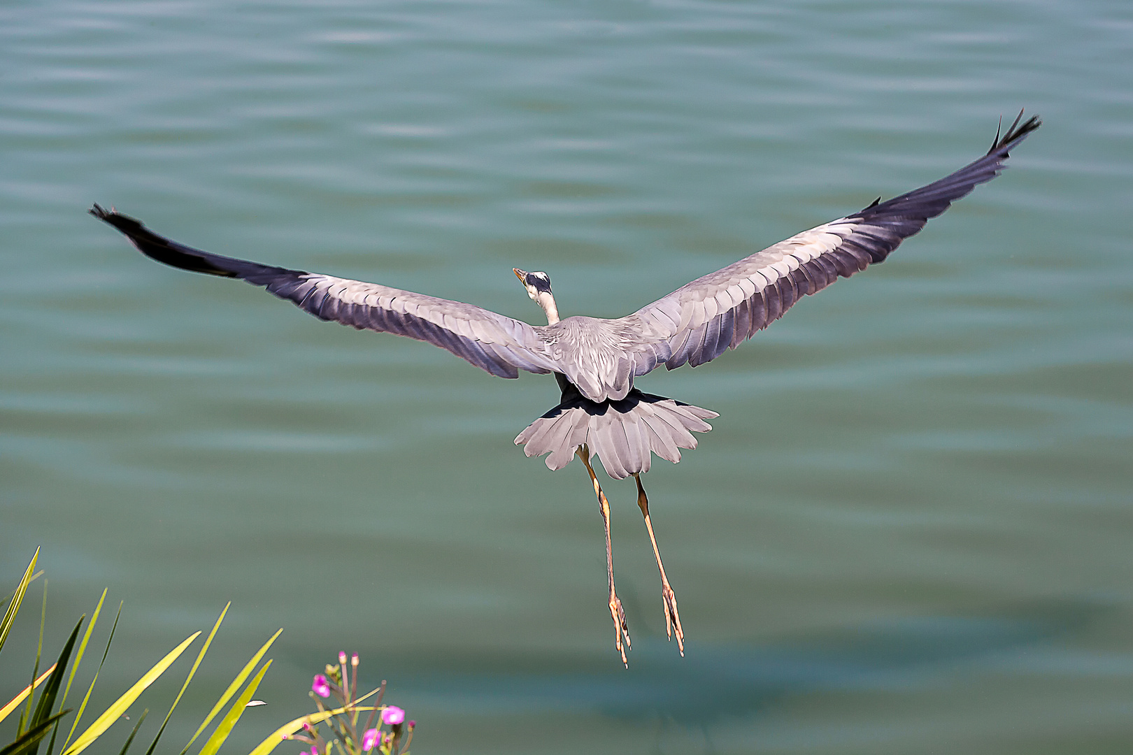 Ready for Take Off