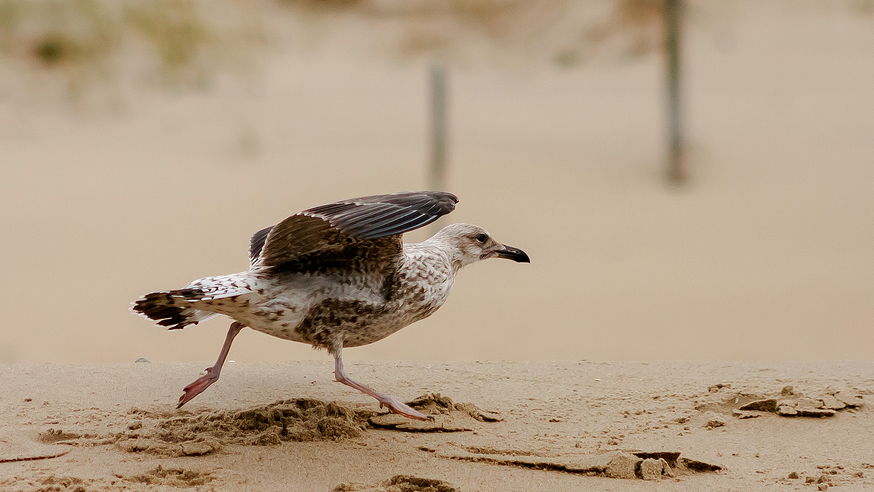 Ready for Take-Off 16:9