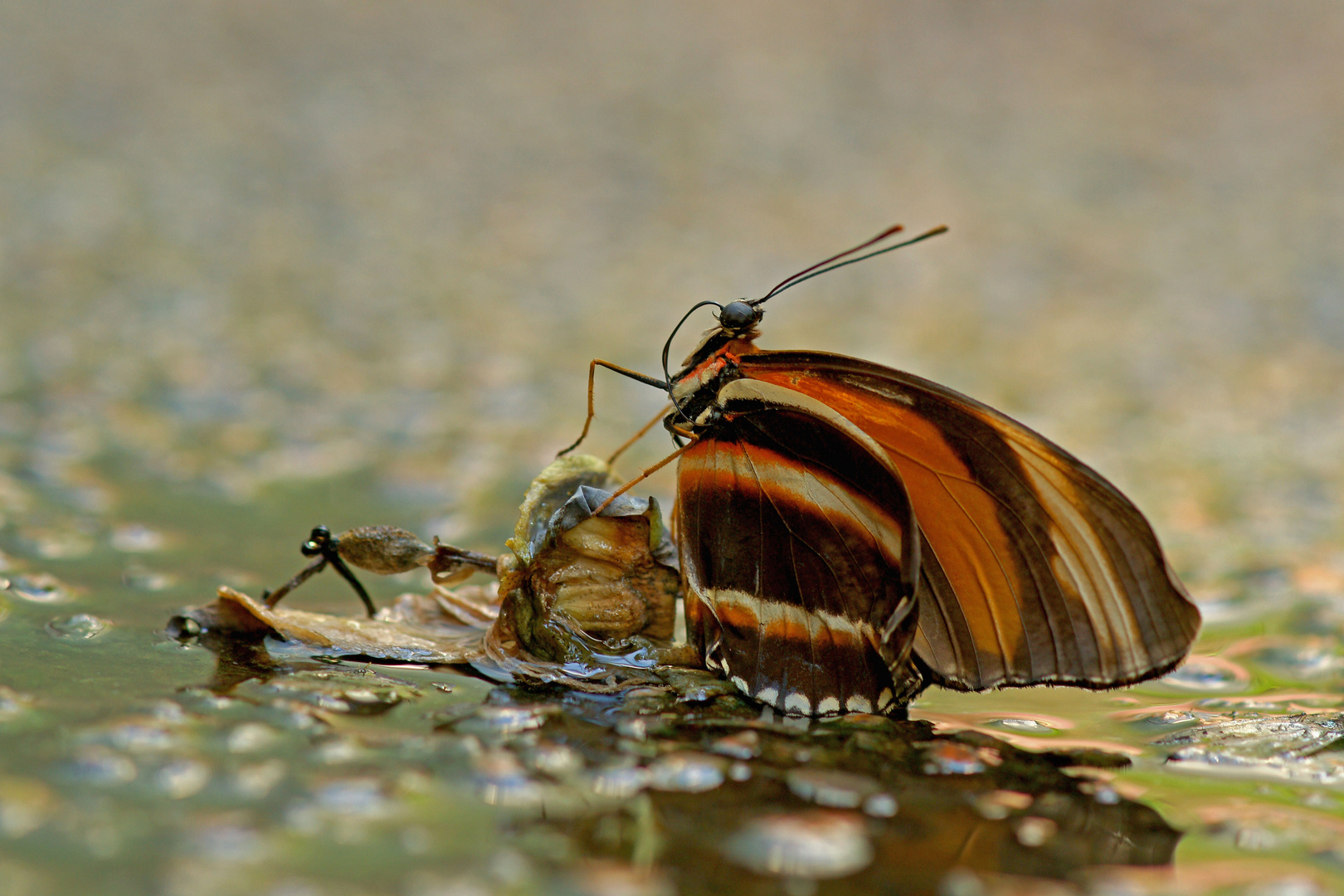 «Ready for take-off»