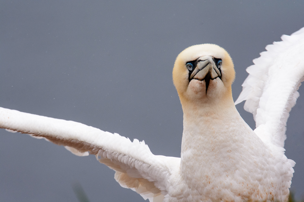 Ready for take-off