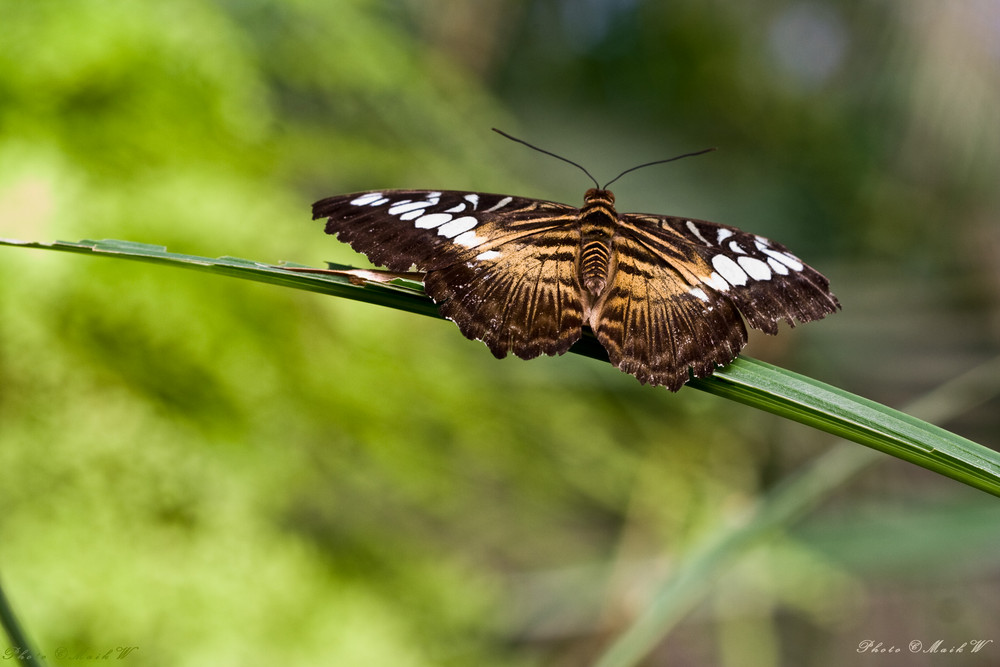 ready for take-off