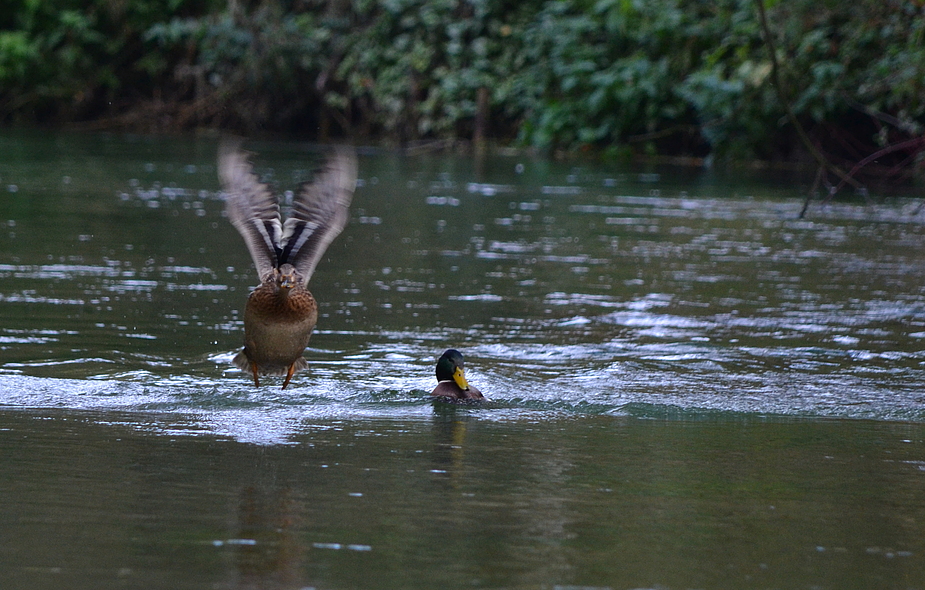 Ready for take off