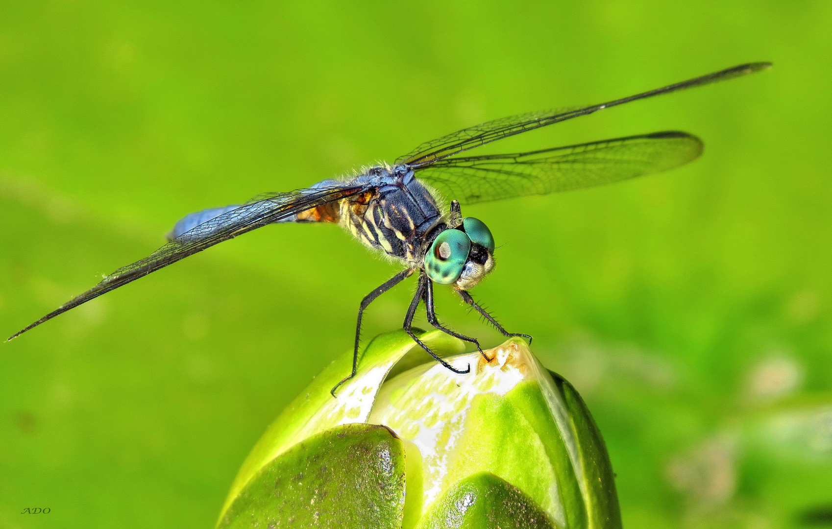 Ready For Take-Off