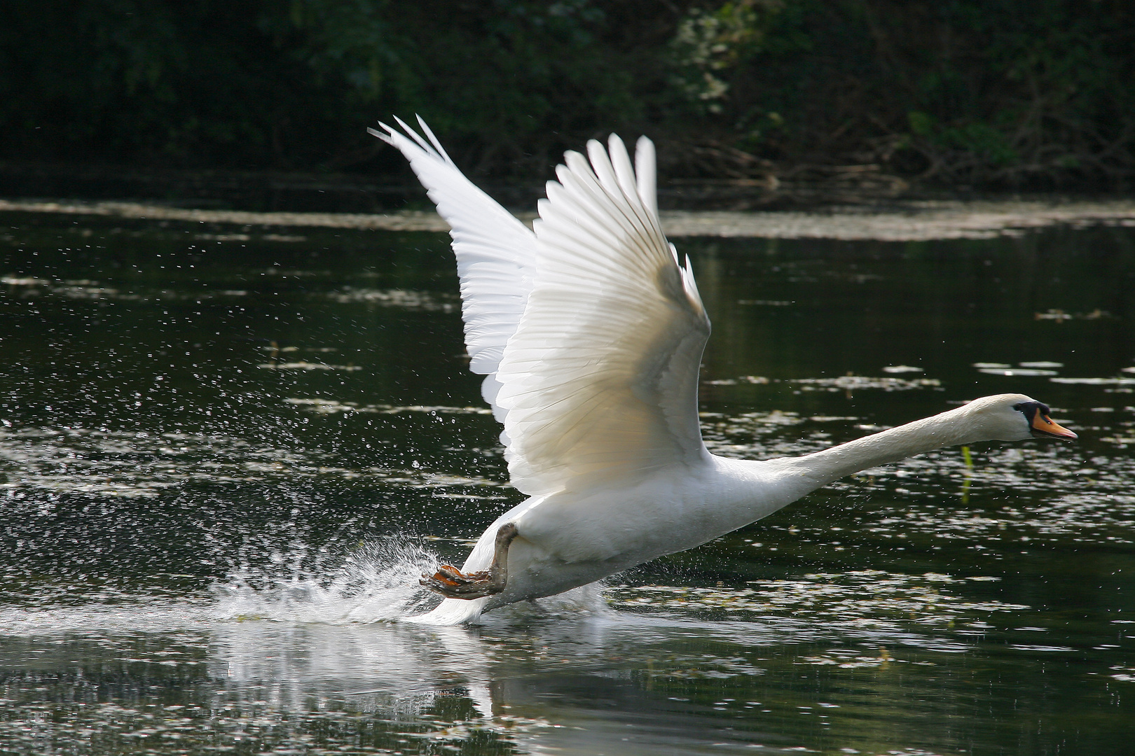 Ready for Take-Off