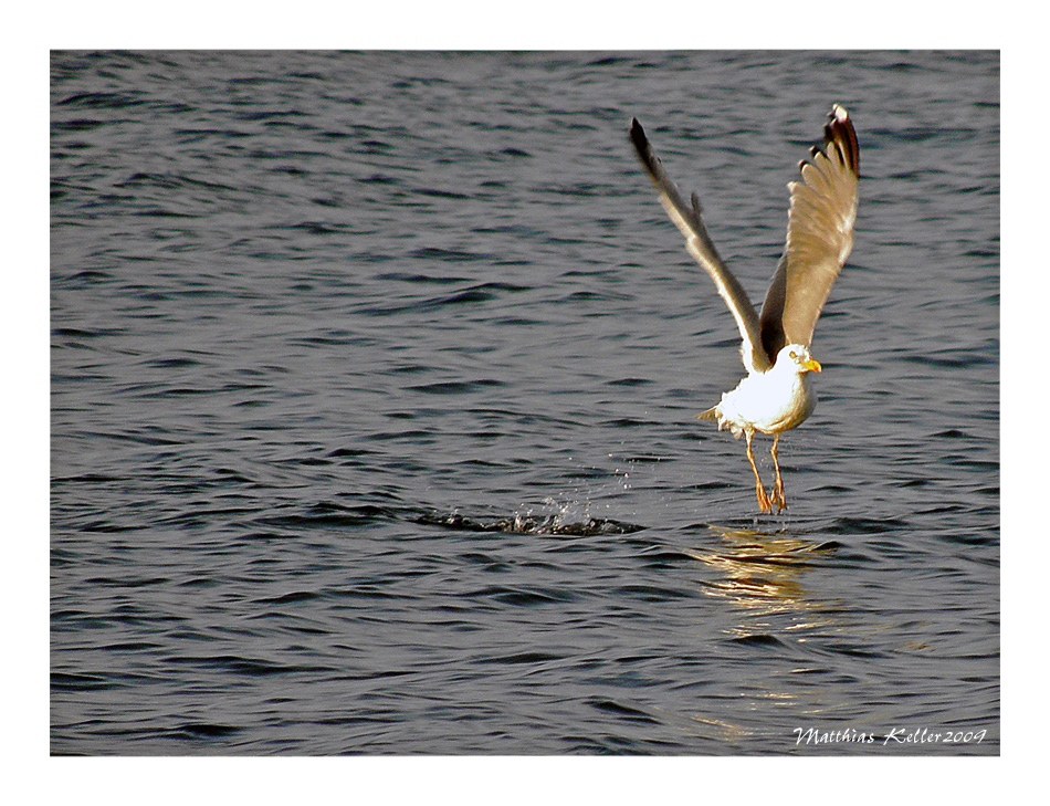 Ready for Take Off