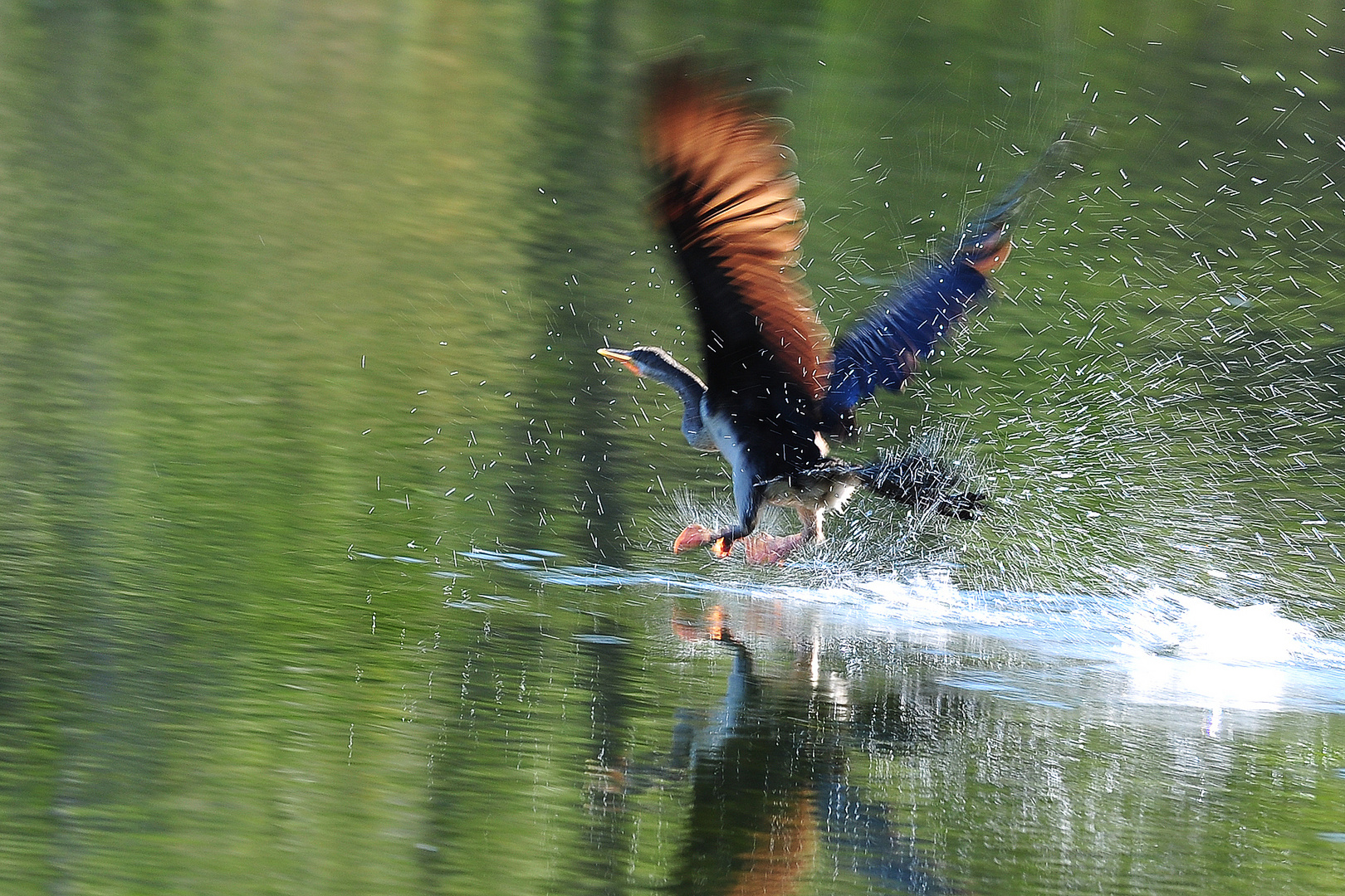 Ready for Take-Off!