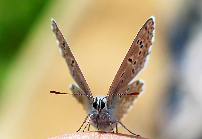 Ready for Take-Off