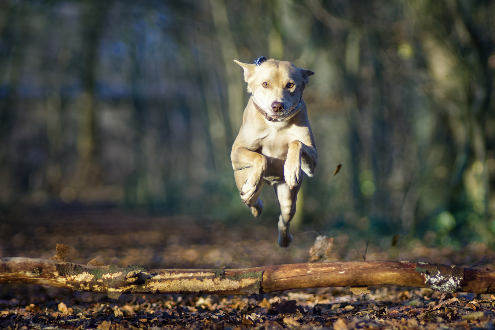 READY FOR TAKE OFF