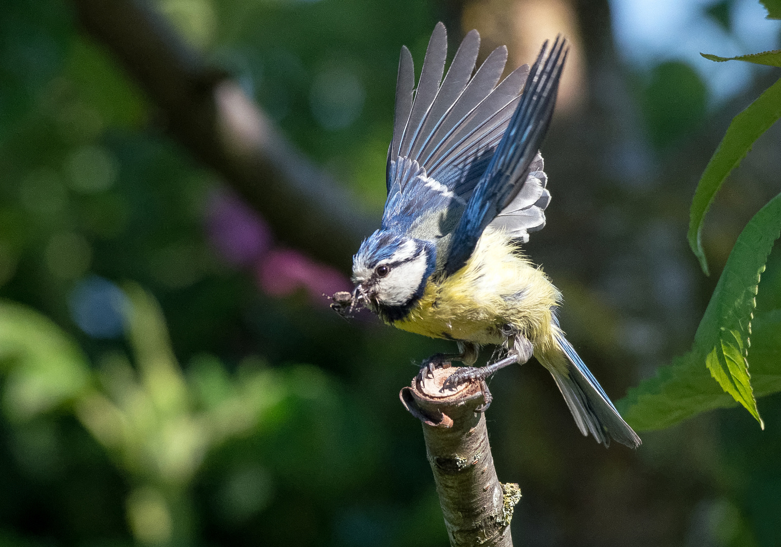 Ready For Take Off