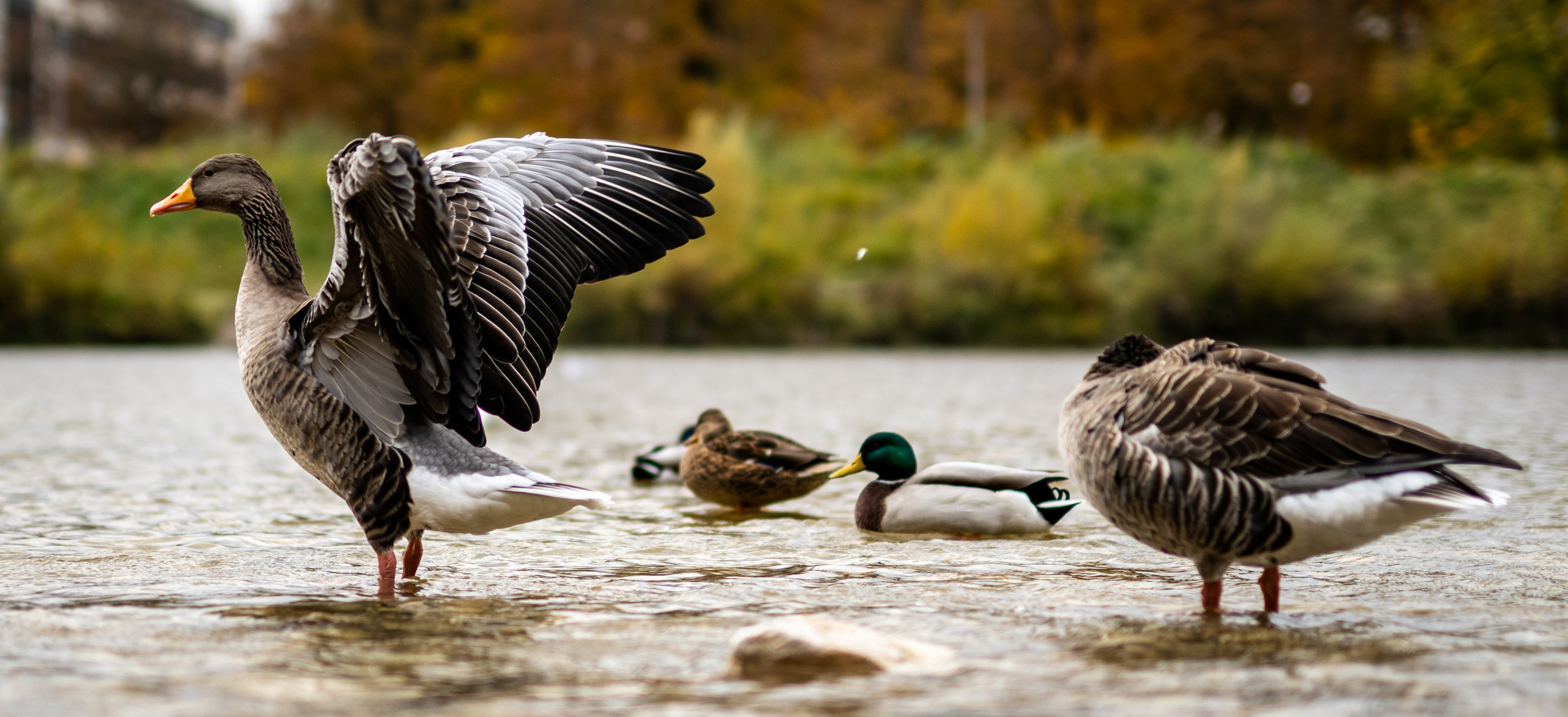 Ready for take-off