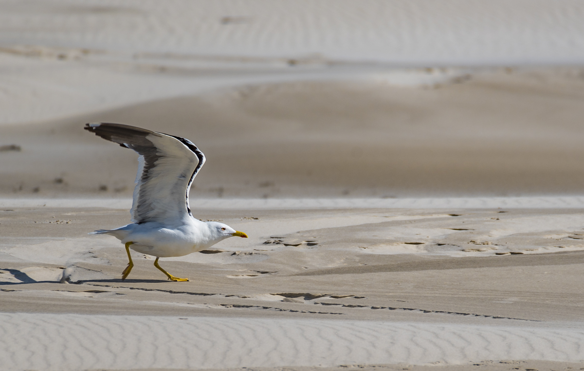 Ready for take-off