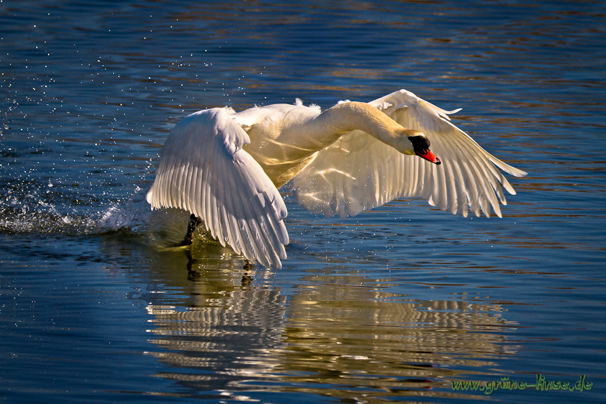 Ready for take-off...