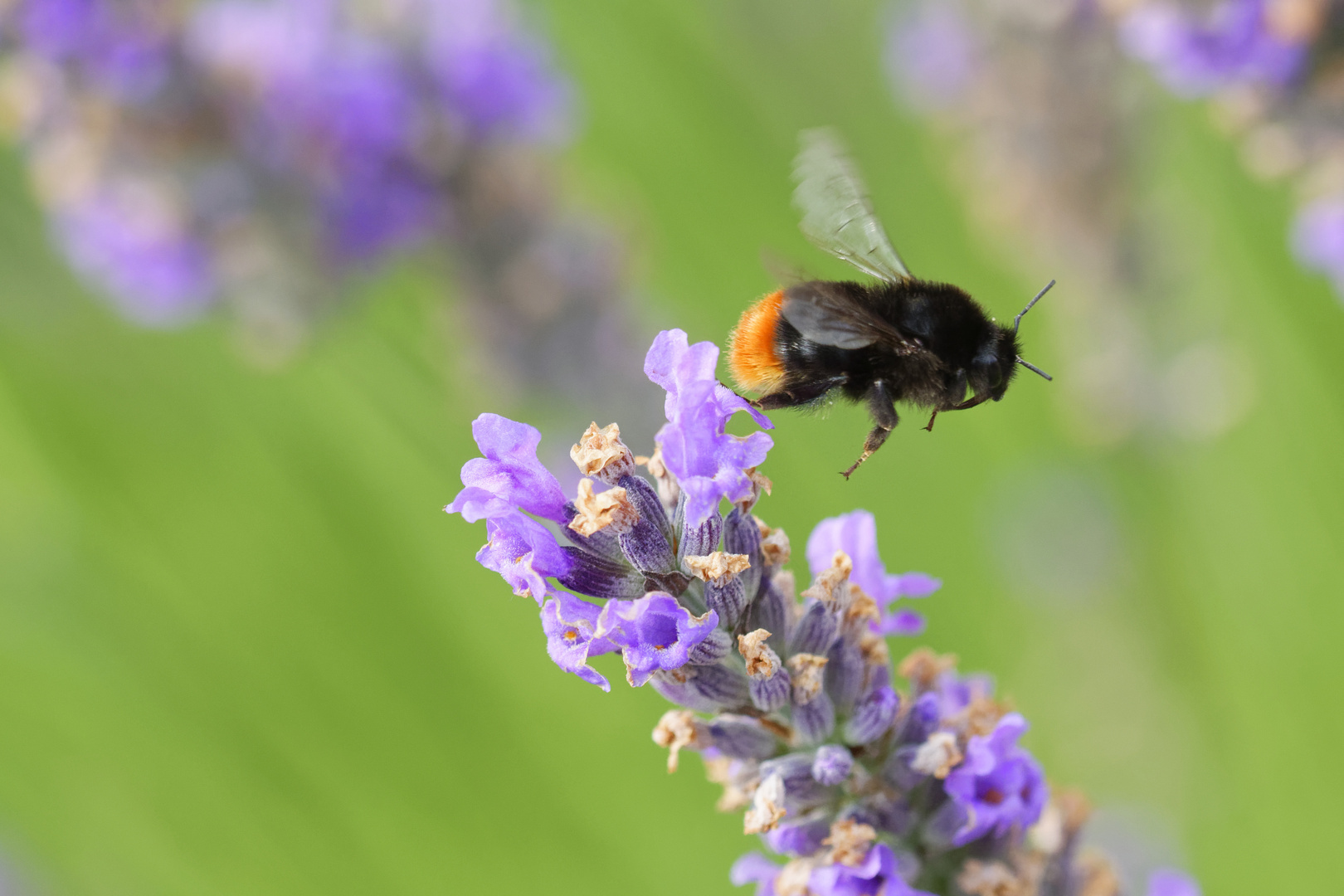 Ready for take-off