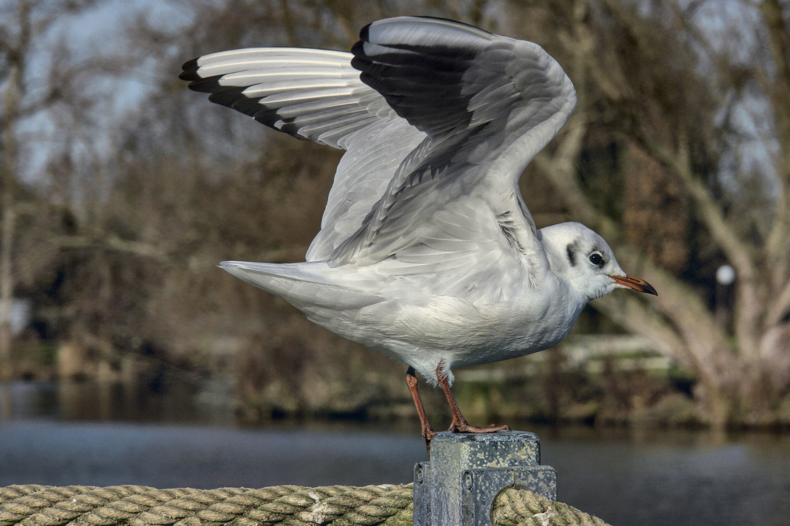 ready for take off