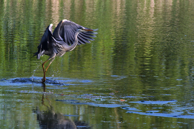 ready for take off