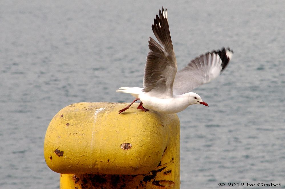 Ready for Take Off