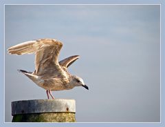 Ready For Take Off