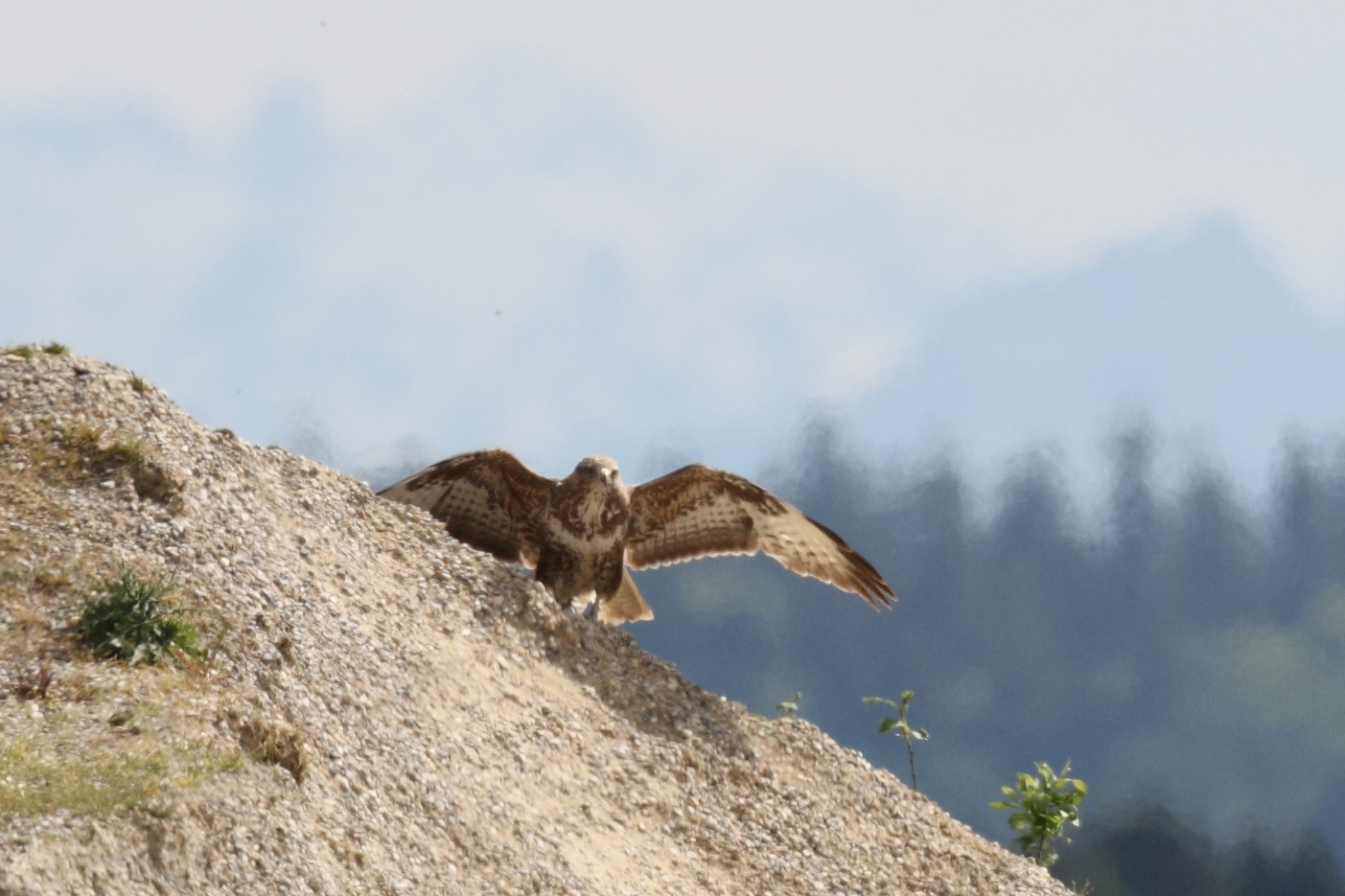 Ready for Take-Off