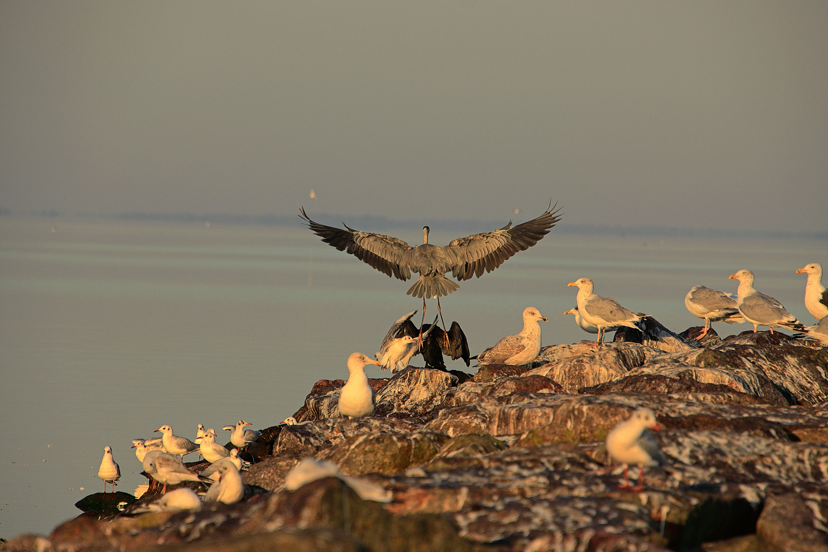 ...Ready for Take Off...