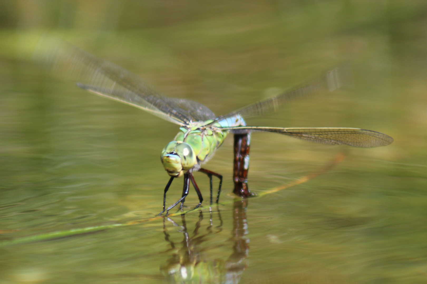 Ready for Take-off...