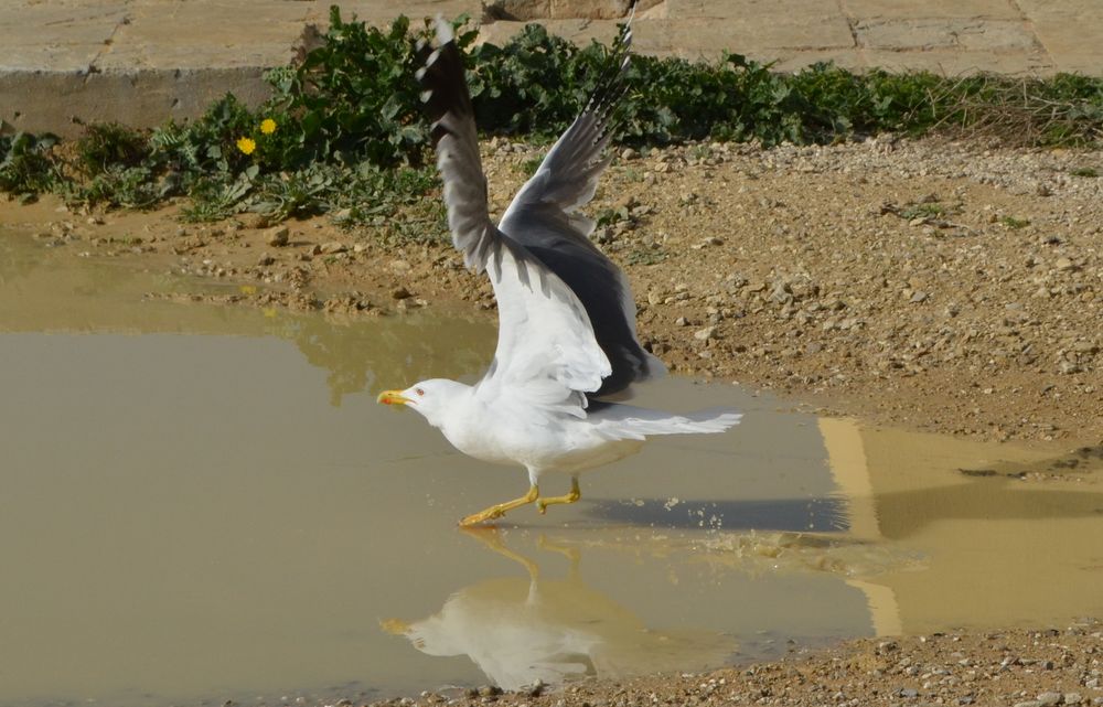 Ready for take-off