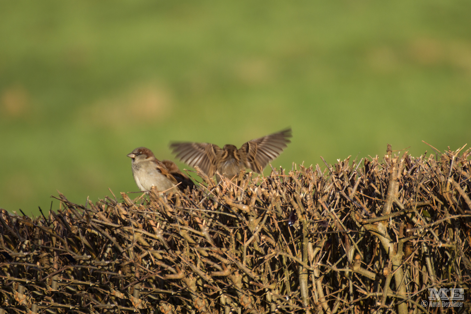 ready for take-off